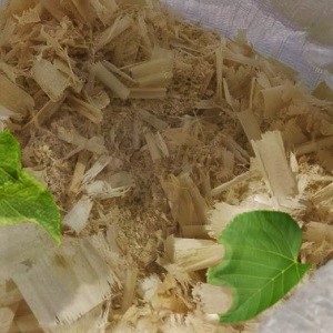 Лиственные опилки оптом в Самаре от завода-производителя Лигнум Ресурс